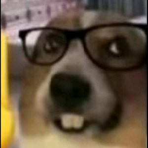 晨曦的头像-依次元